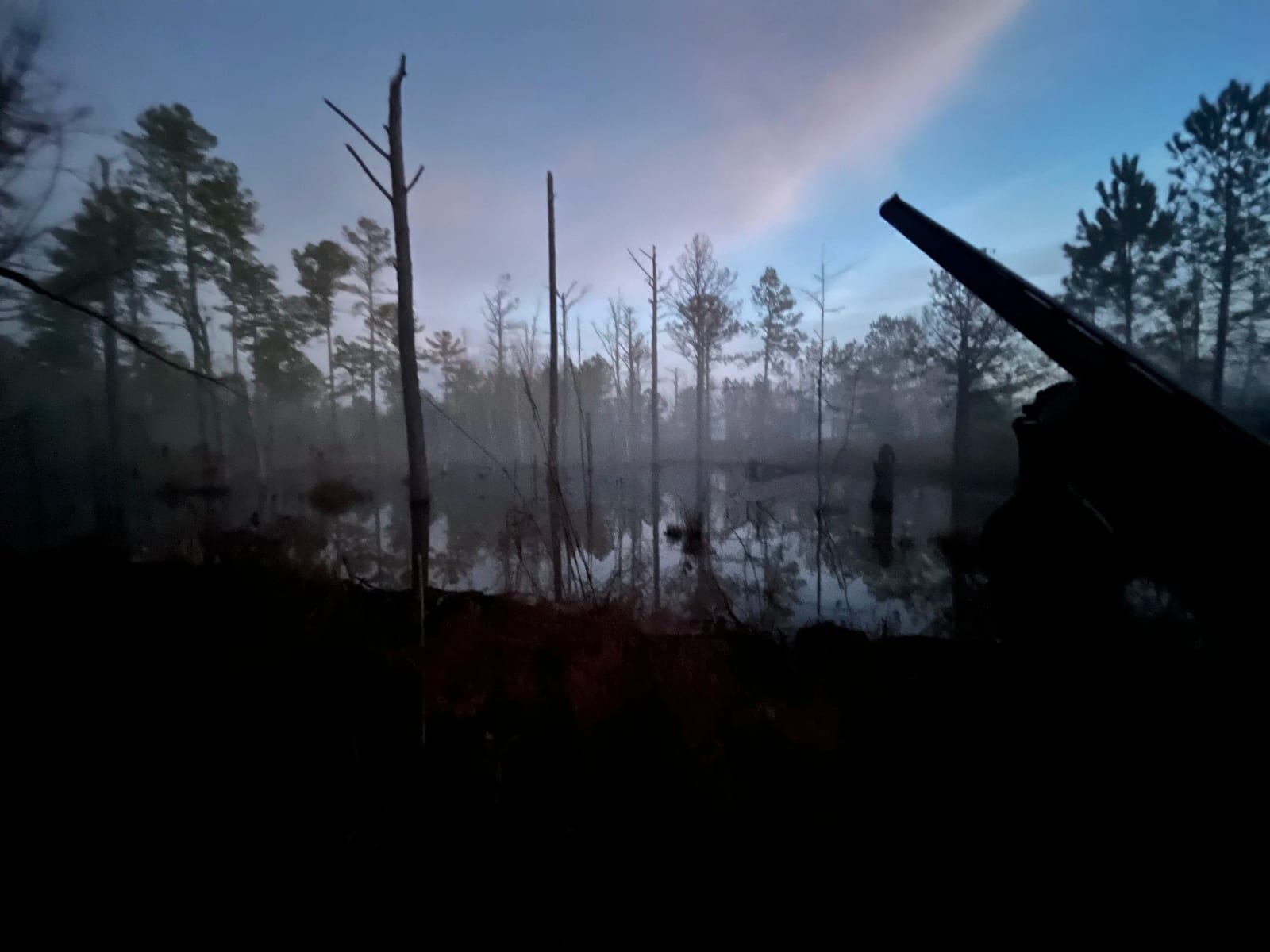 A foggy swamp scene at dawn with leafless trees reflected in water, and a gun barrel in the foreground.