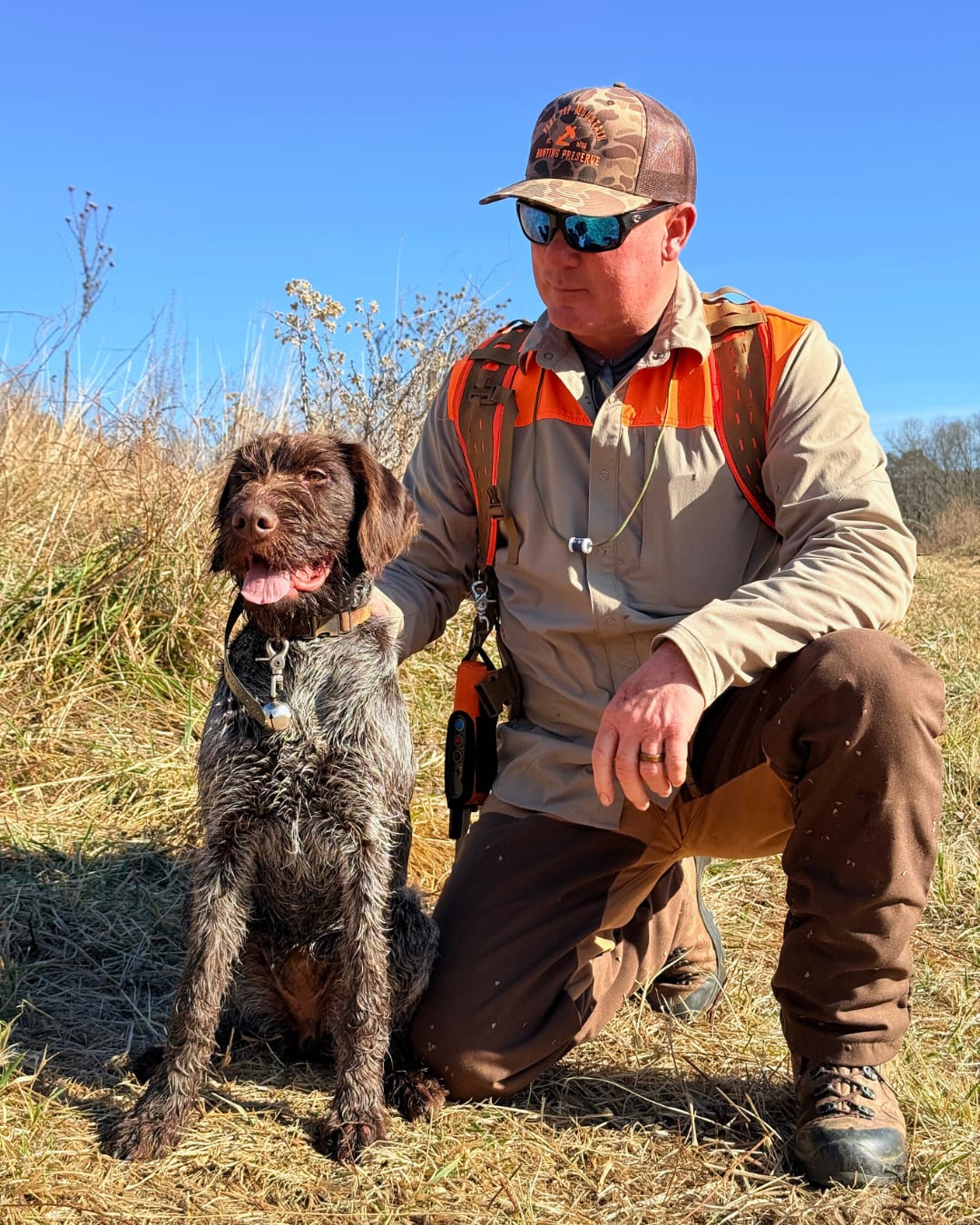 Bird Dog and Hunter in Tennessee
