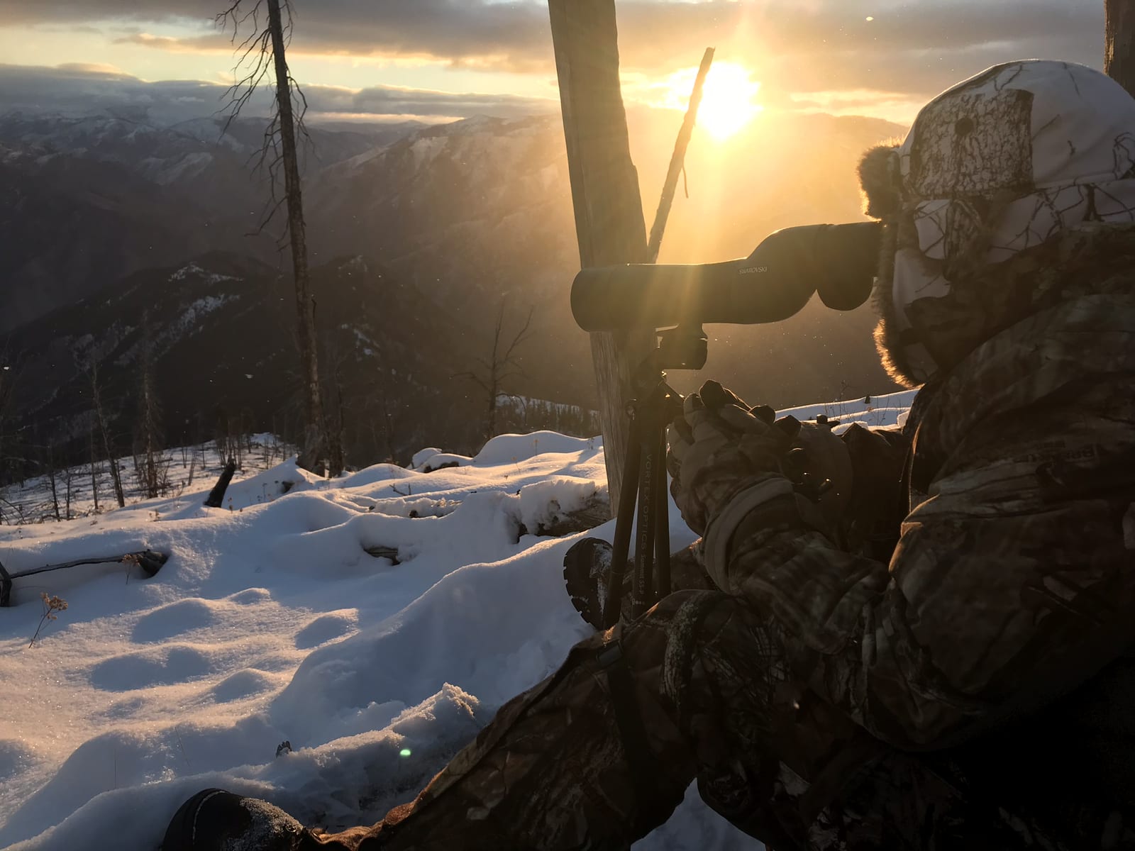A hunter in camouflage looks through binoculars at a snowy mountain landscape during sunset.