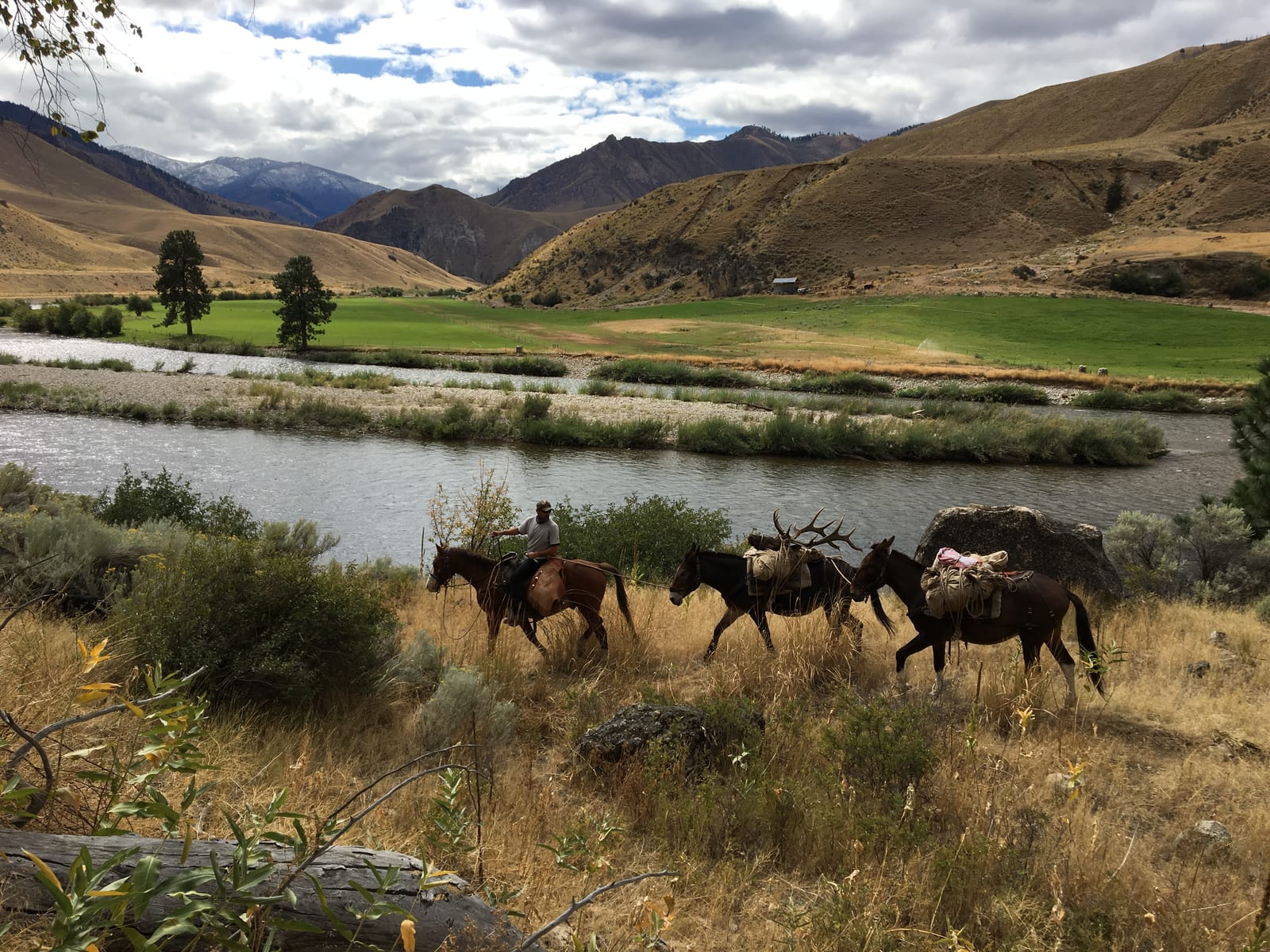 A person on horseback and pack mules, one carrying elk antlers, travel along a river with mountains in the background.