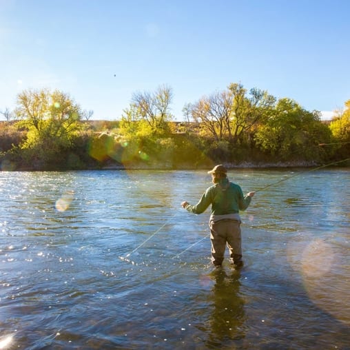 A person in waders is fly fishing in a river with trees on the far bank under a clear sky.