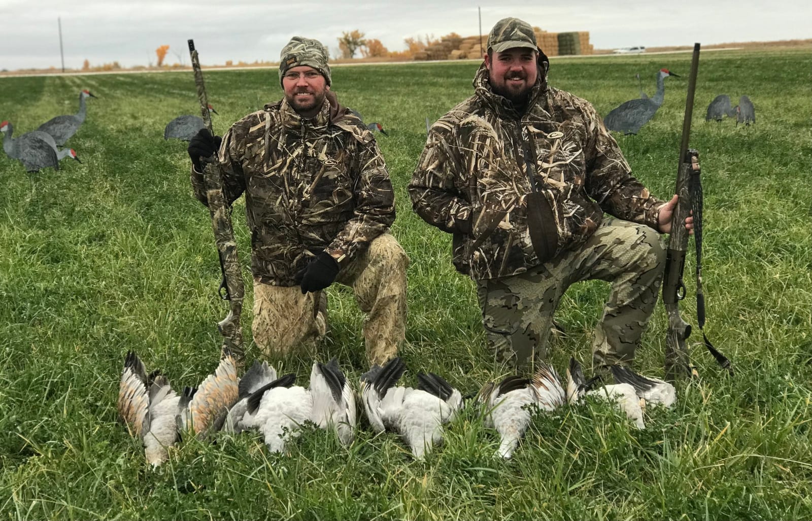 Two hunters in camouflage kneel in a grassy field with their shotguns and several harvested snow geese.