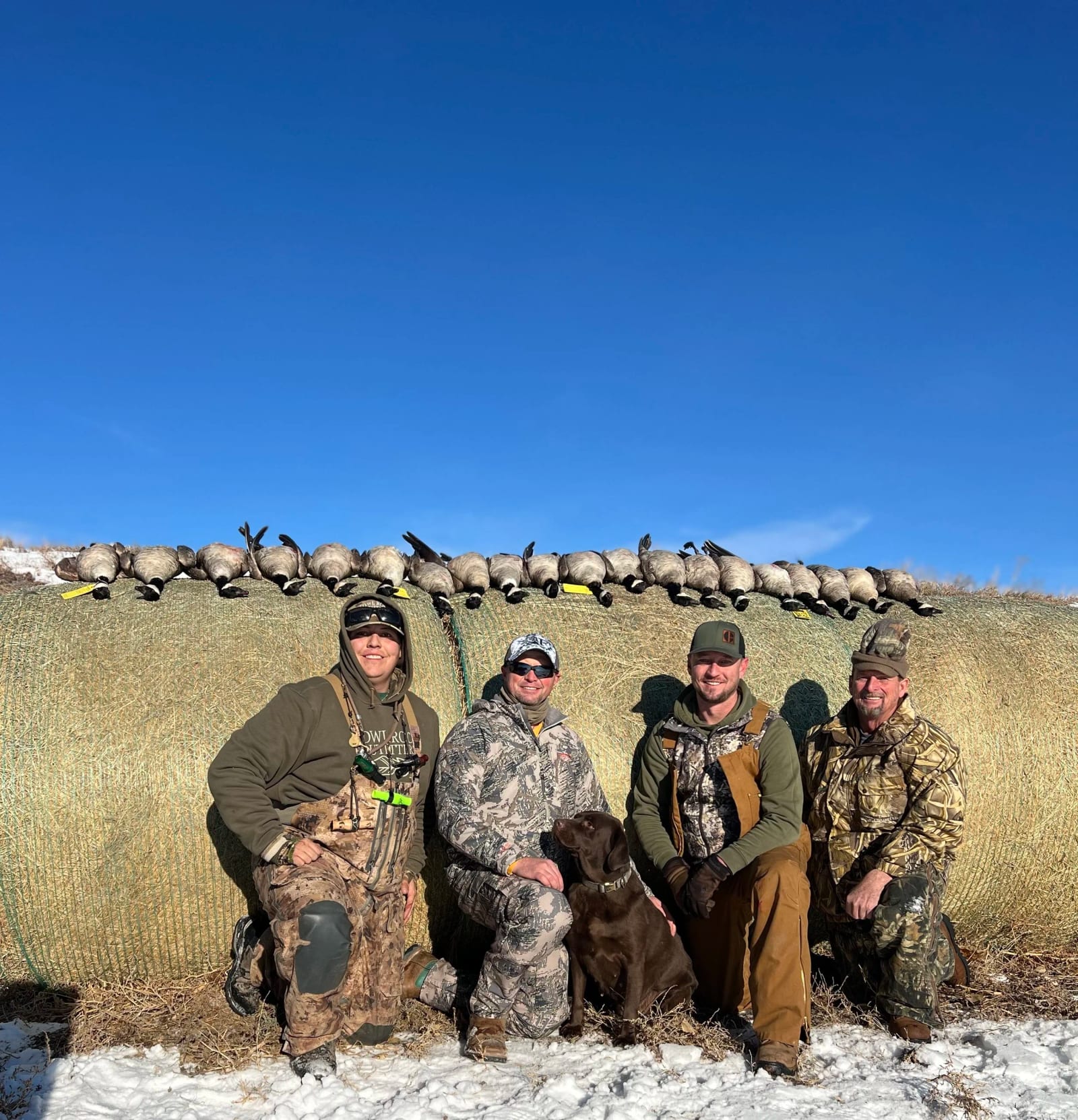 Four hunters and a dog pose with a harvest of Canada geese on a bale of hay in a snowy field.