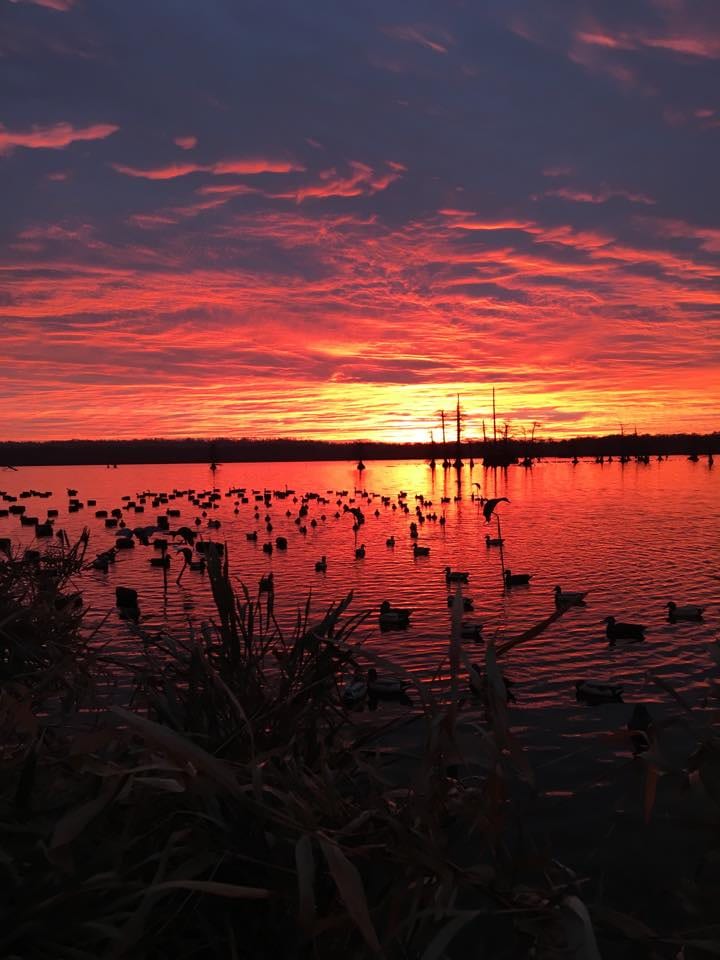 A vibrant red and orange sunrise over a body of water filled with duck decoys.