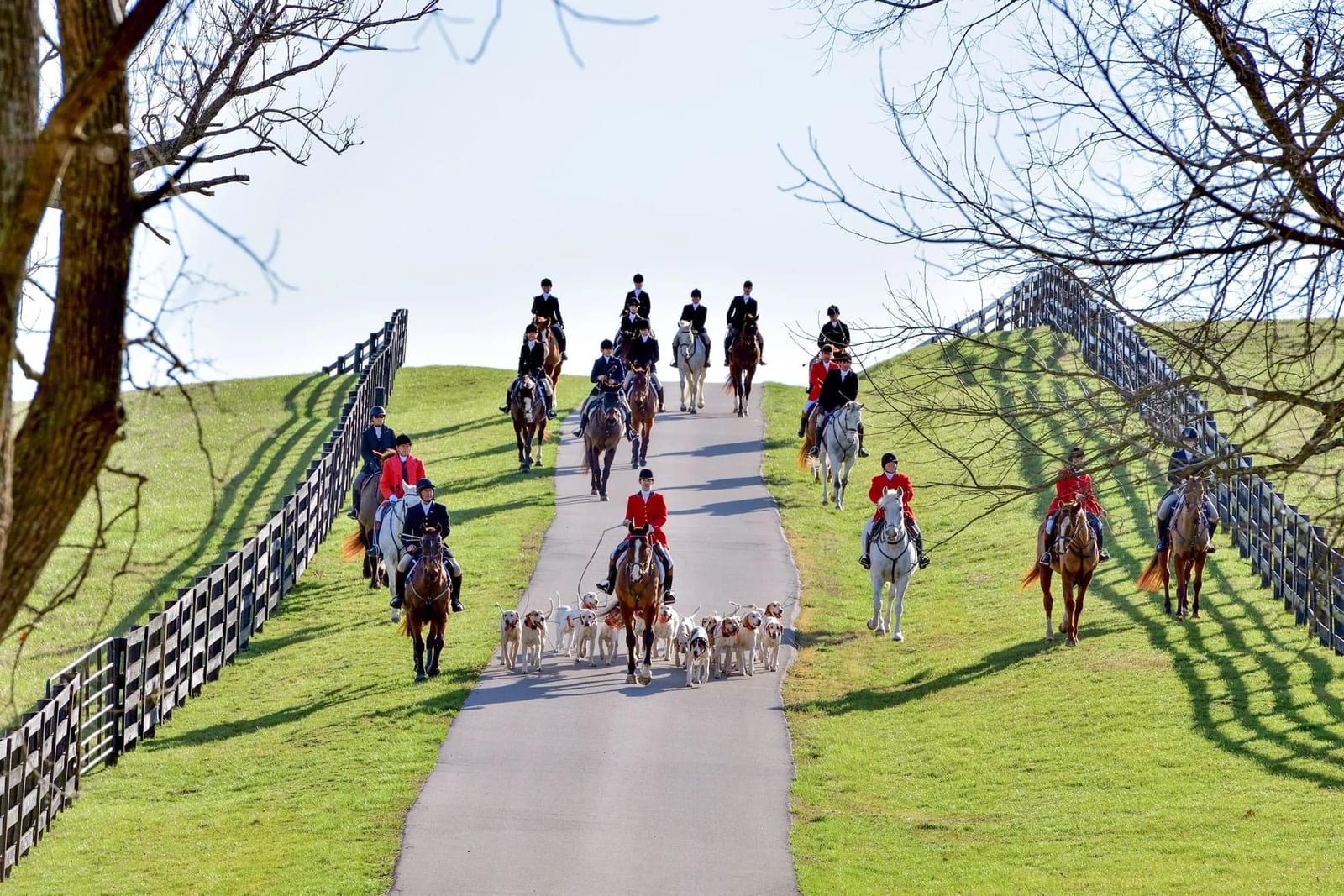 A group of people on horseback with a pack of dogs on a path between grassy hills.