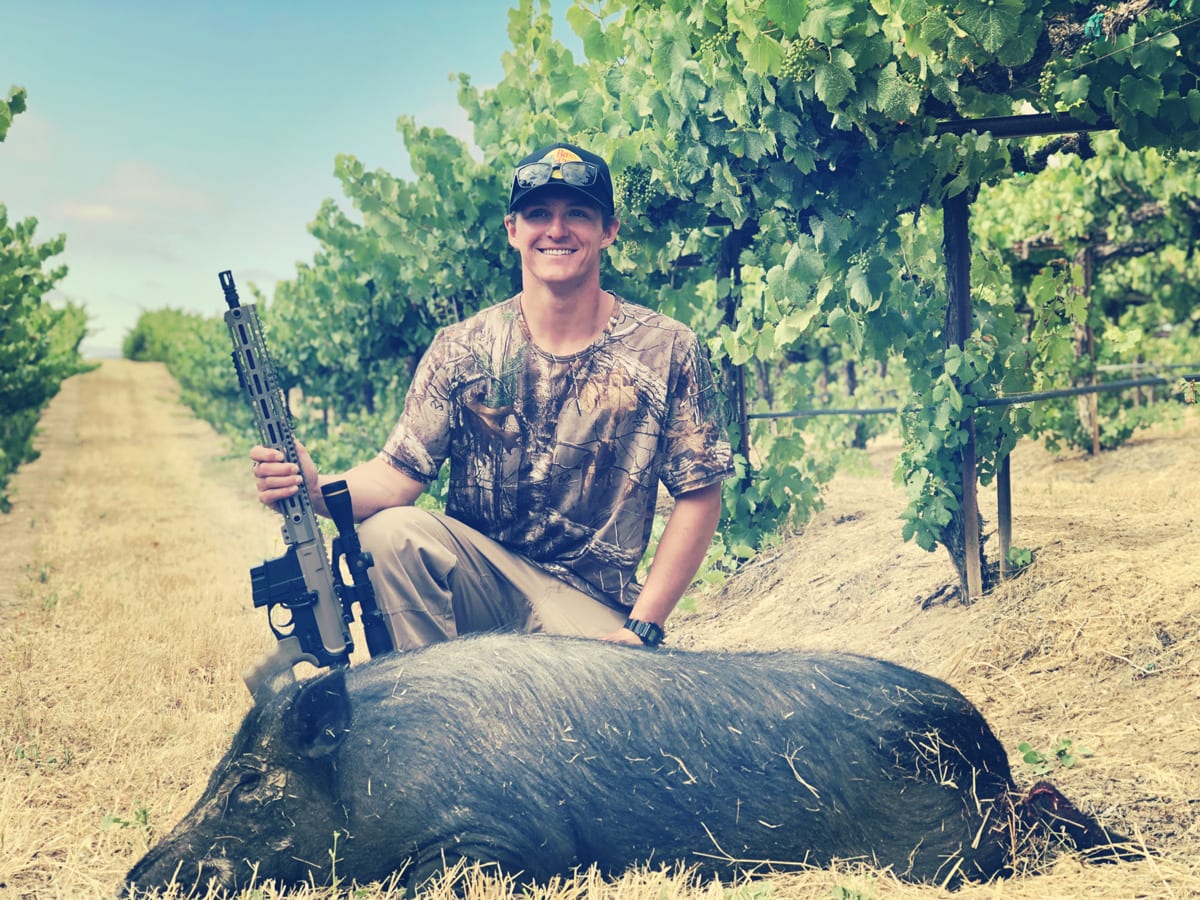 wild boar hunting