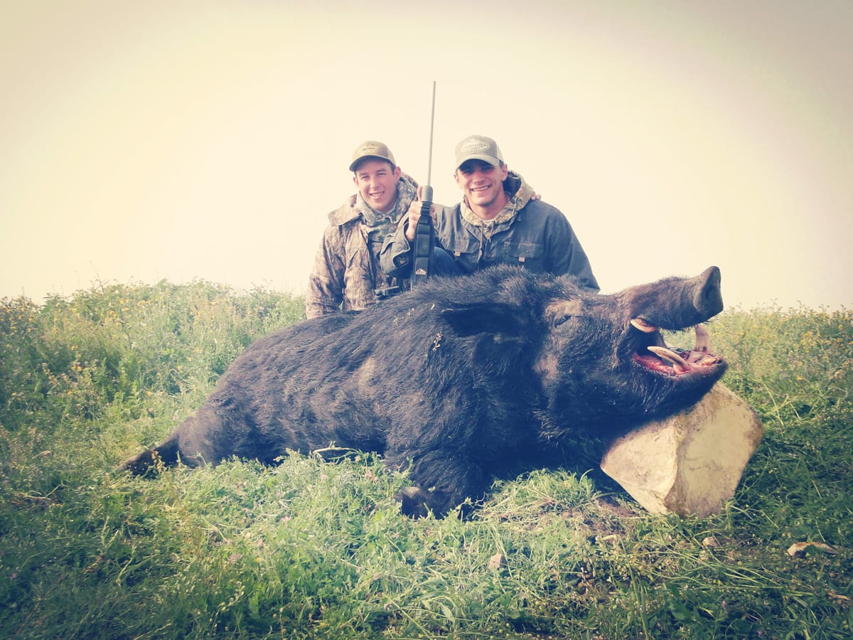 wild boar hunting