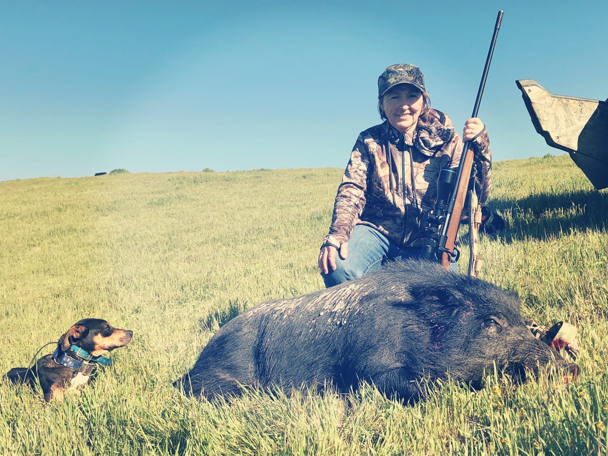 wild boar hunting