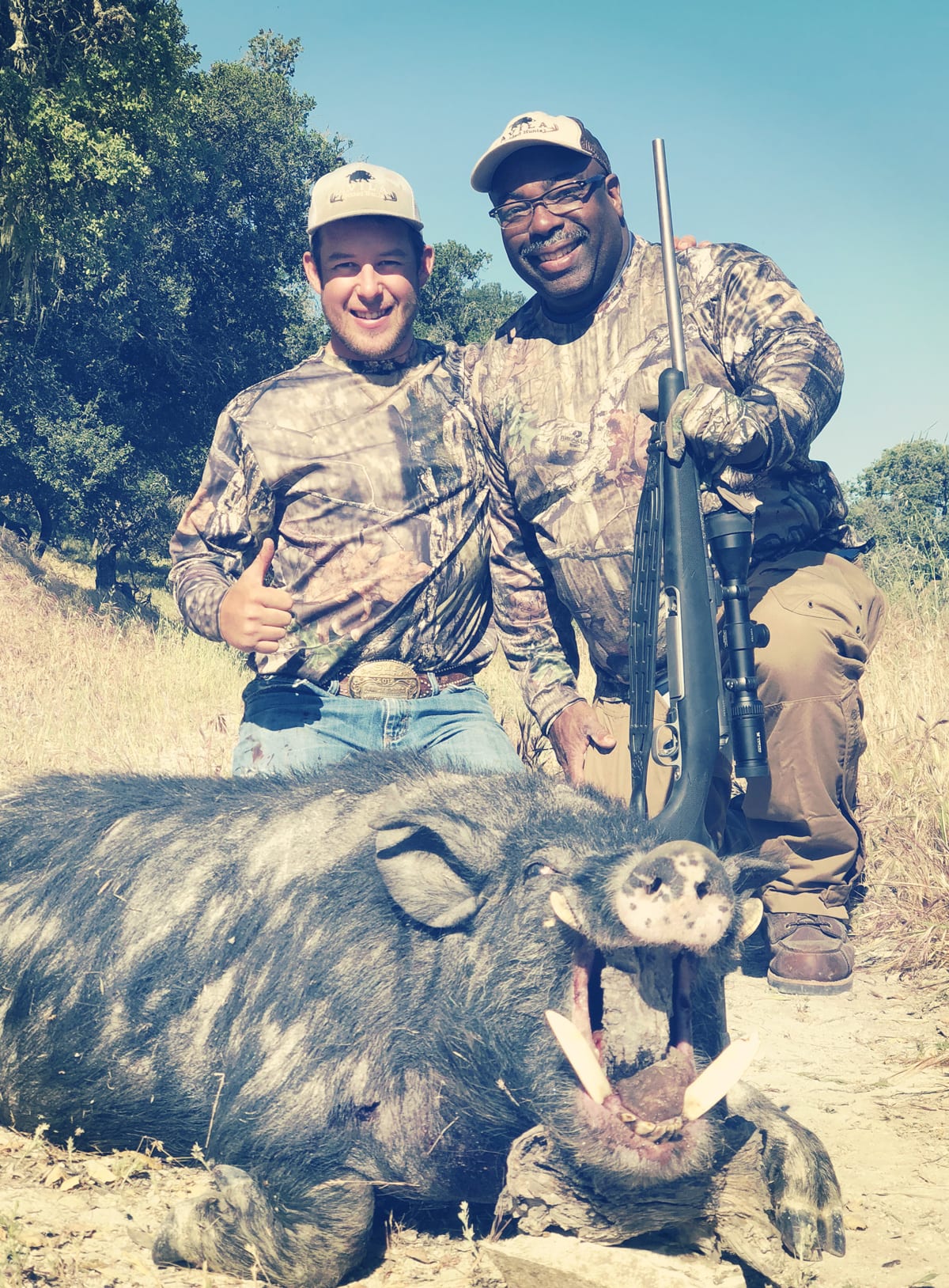 wild boar hunting