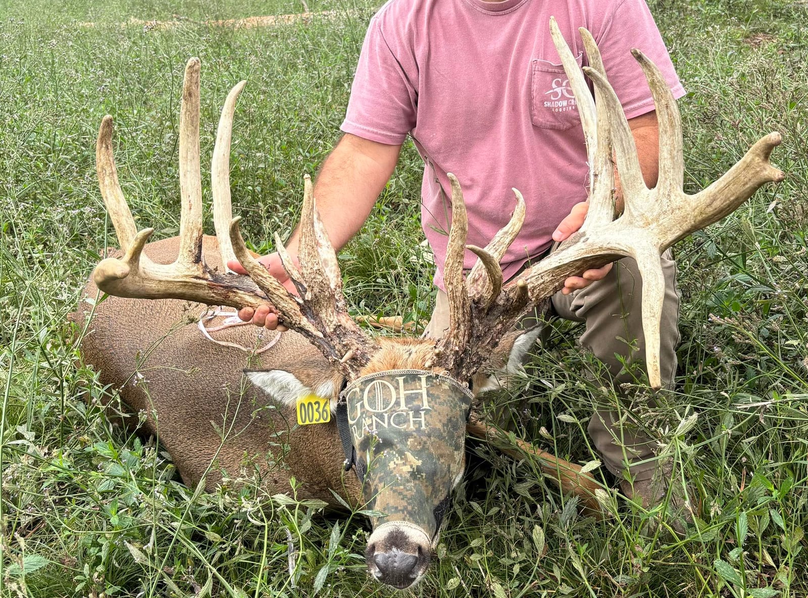 A hunter poses with a large whitetail deer in a grassy field.