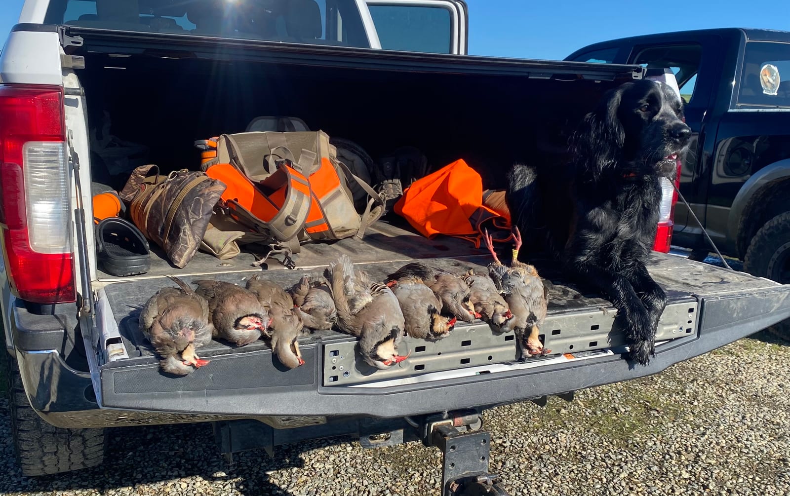 chukar hunting