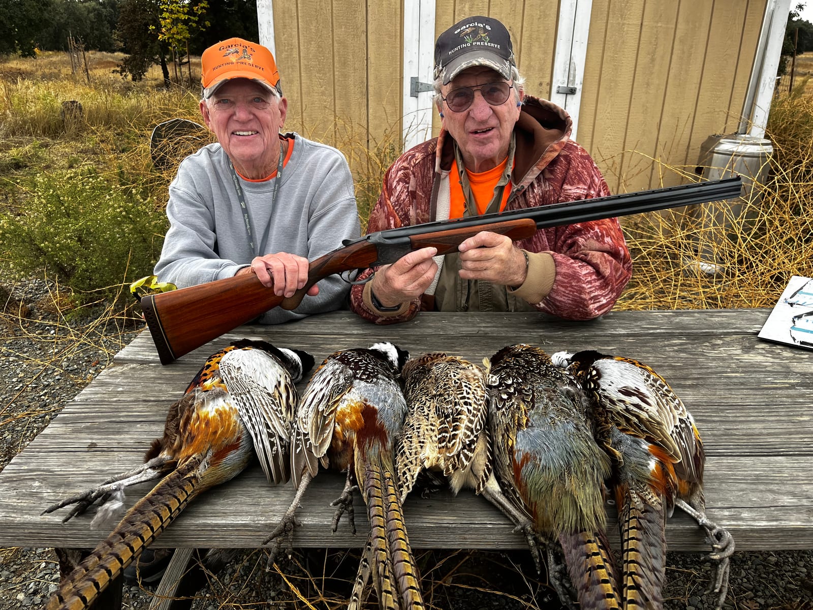 pheasant hunting ca