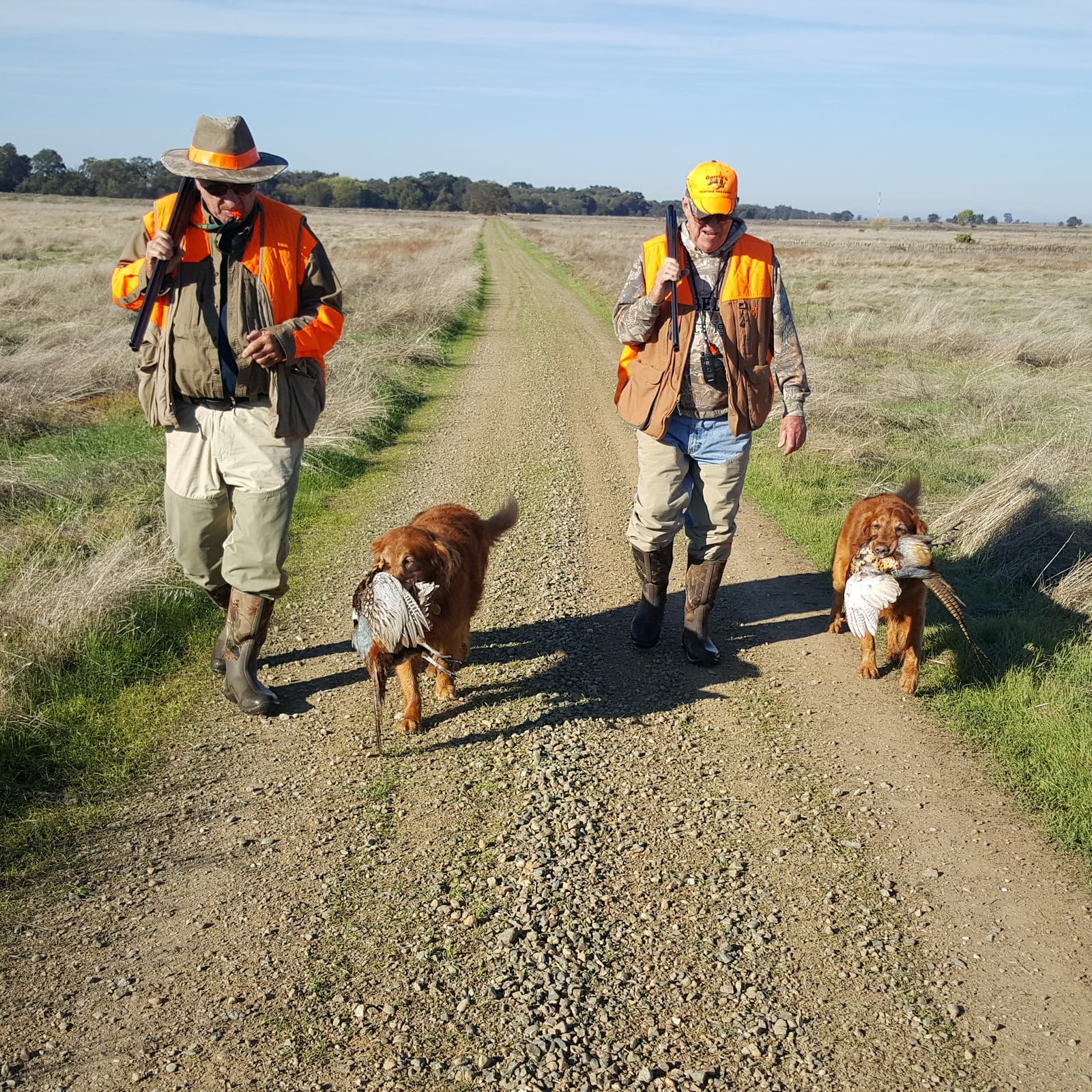 Pheasant Hunting California