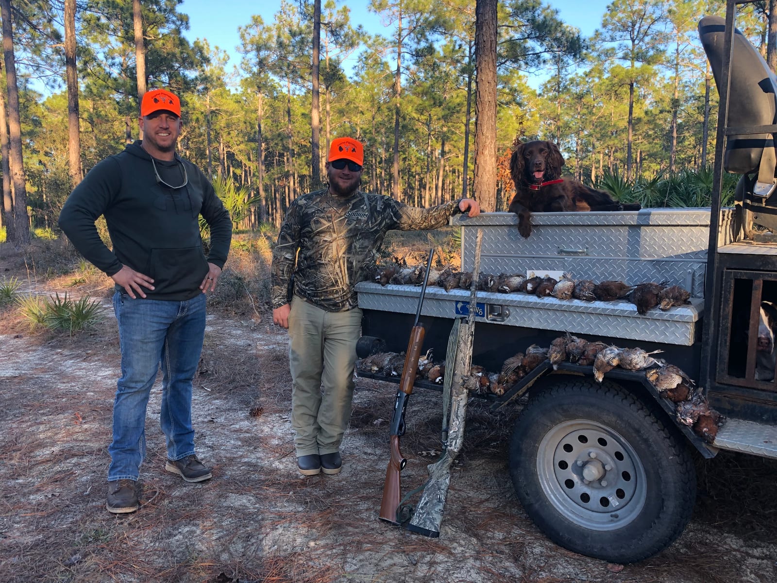 Typical Georgia Quail Hunting Trip