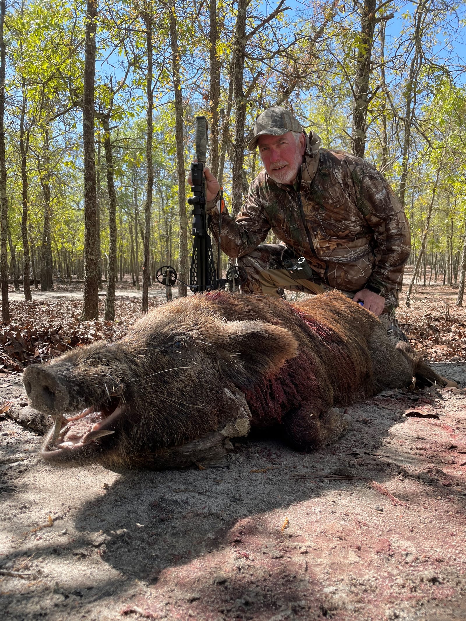 Georgia Hog Hunting