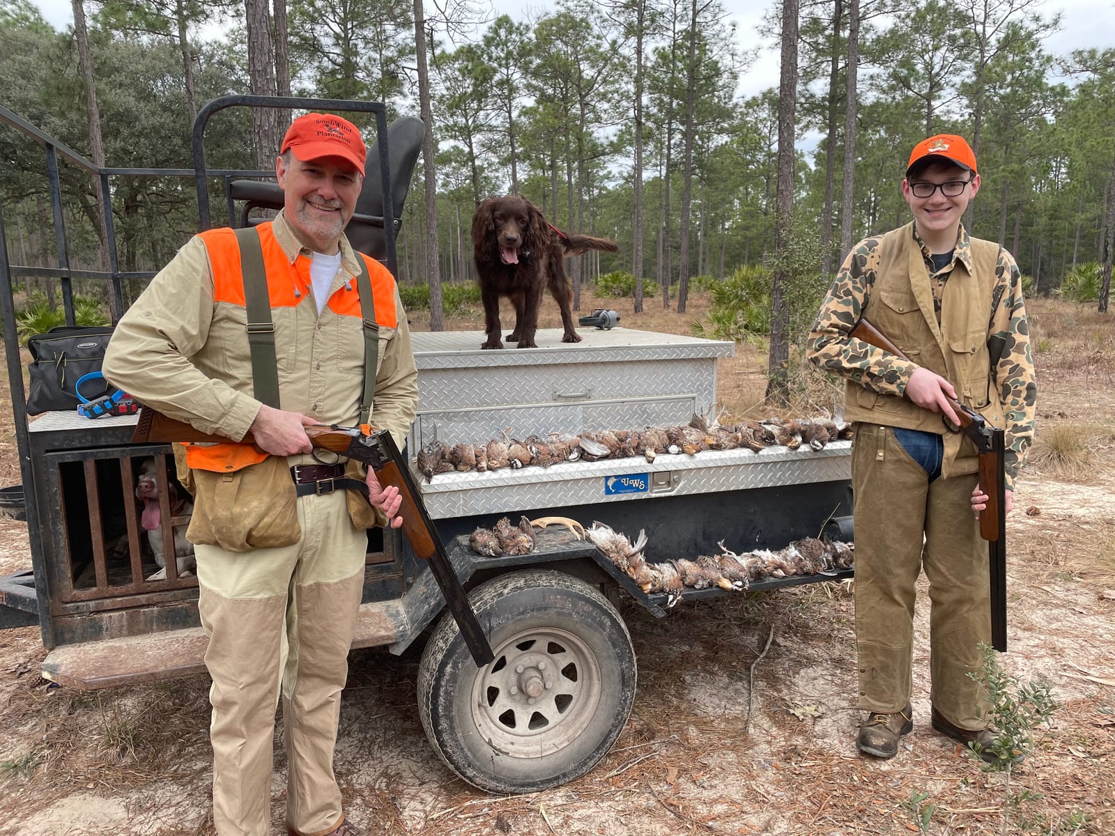Quail Hunting