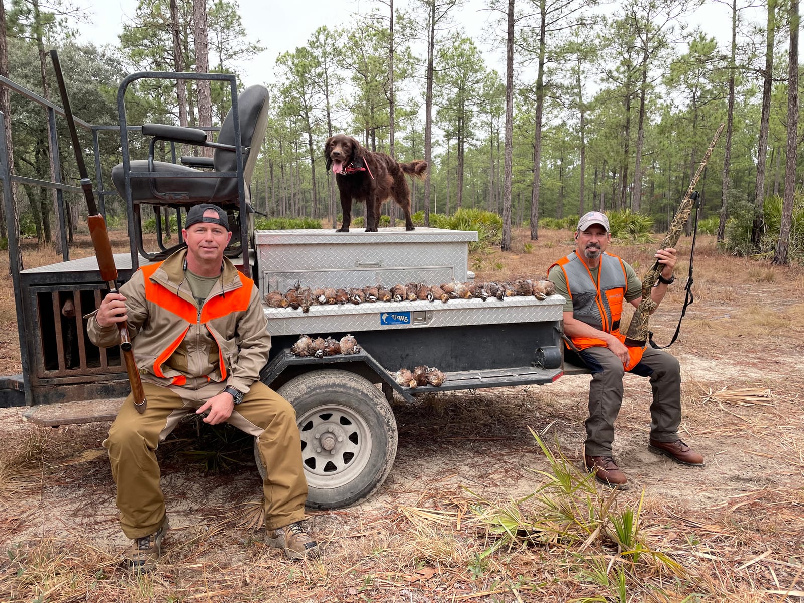 Quail Hunting Georgia