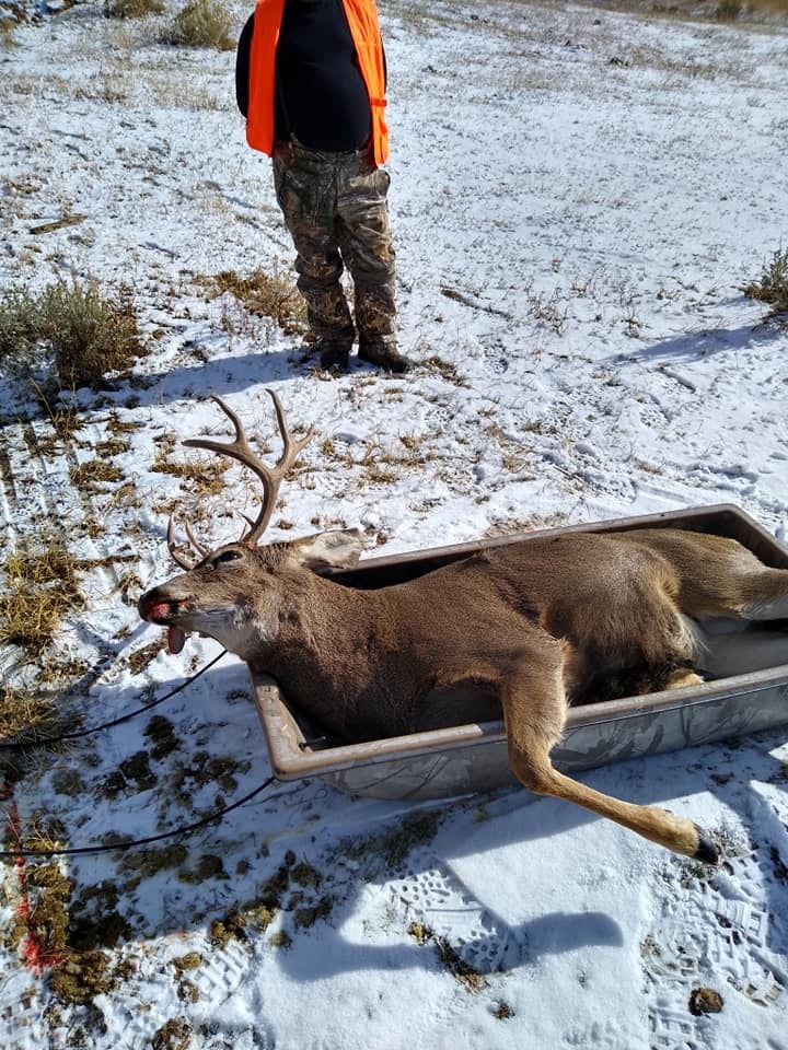 A hunter stands over a harvested mule deer in a sled on snowy ground.