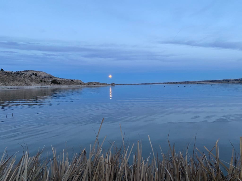 A moon reflects on a calm lake at dusk or dawn, with reeds in the foreground and hills in the background.