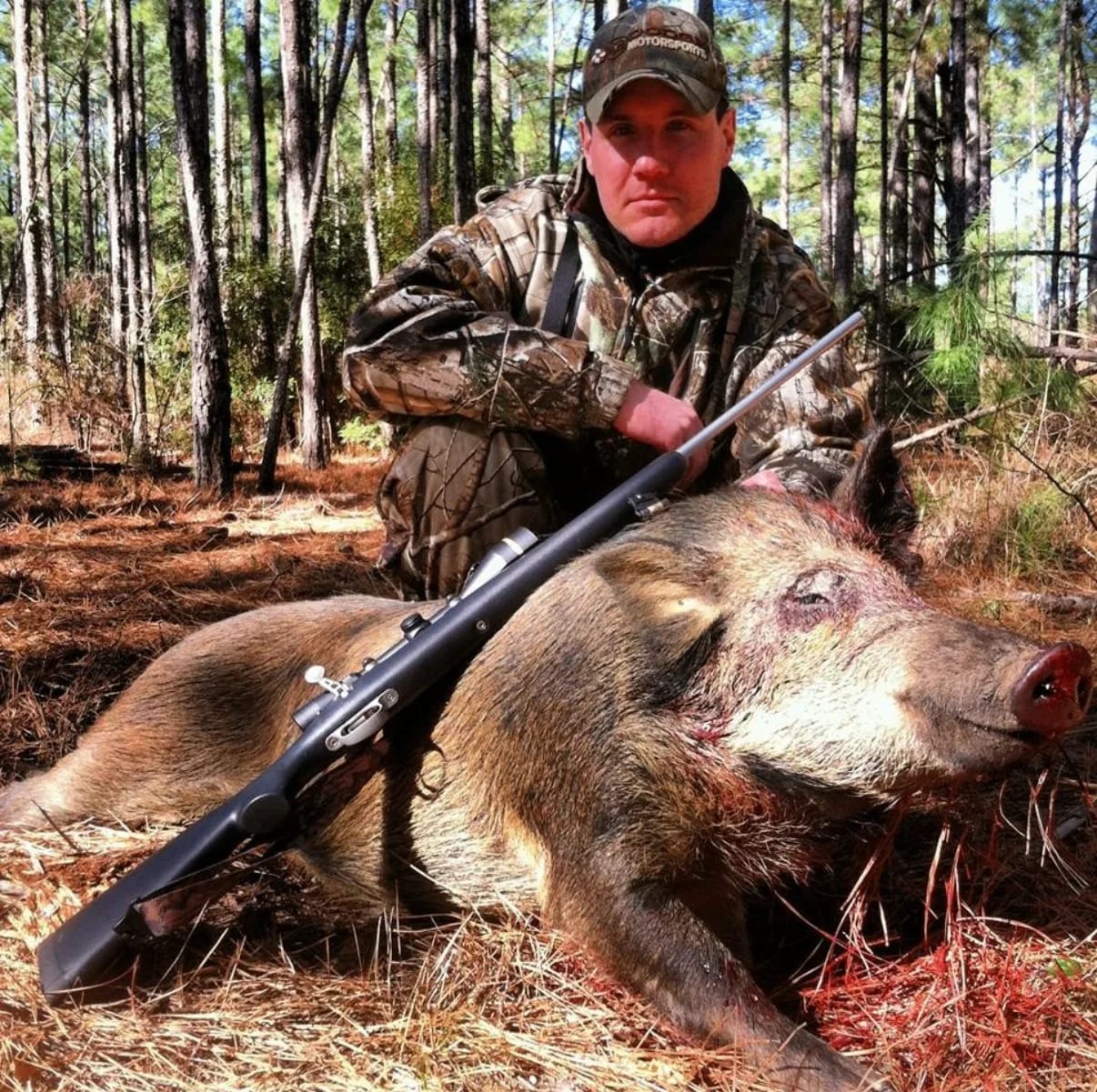 Hog Hunting - additional view