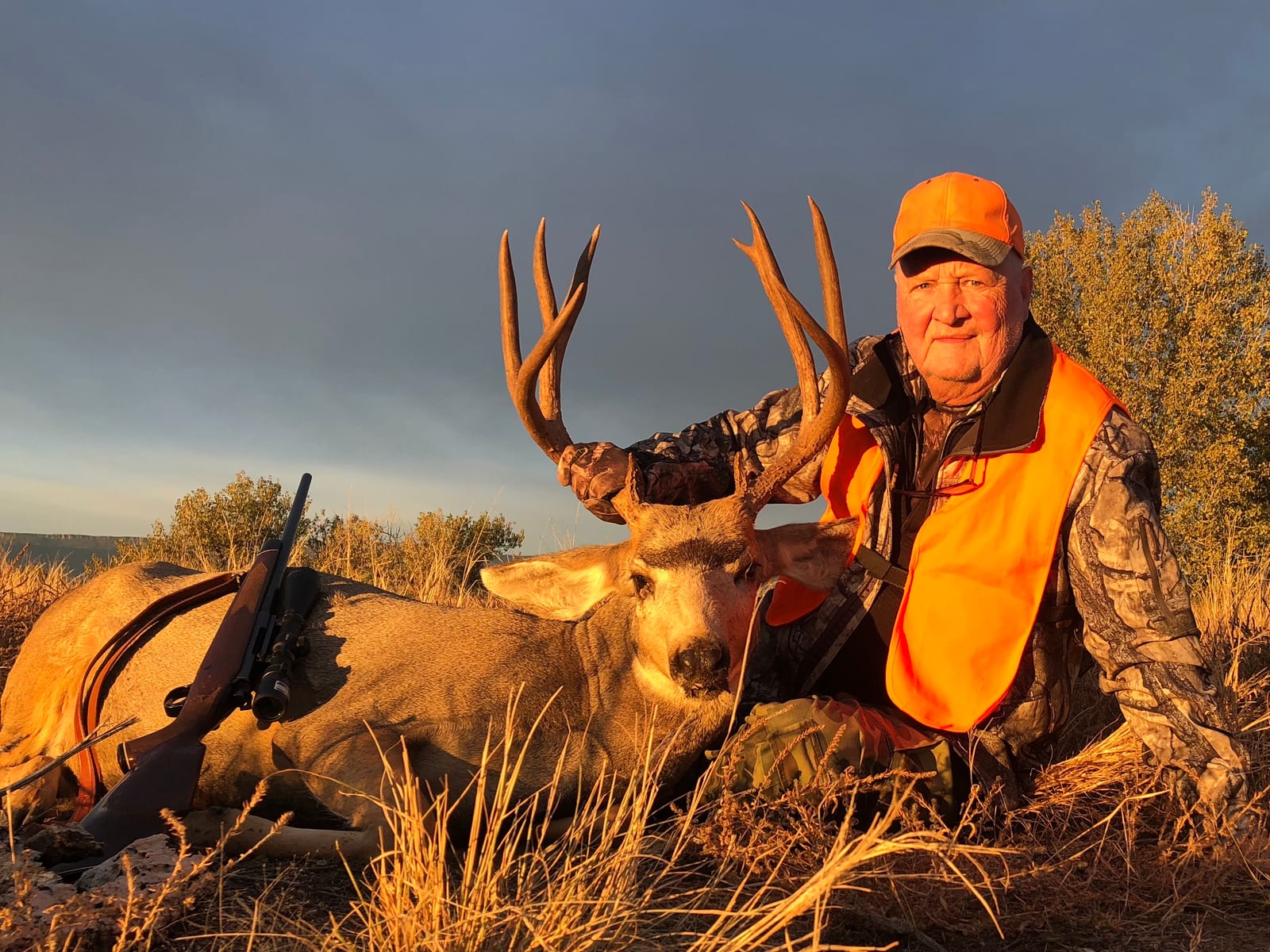 Colorado Mule deer