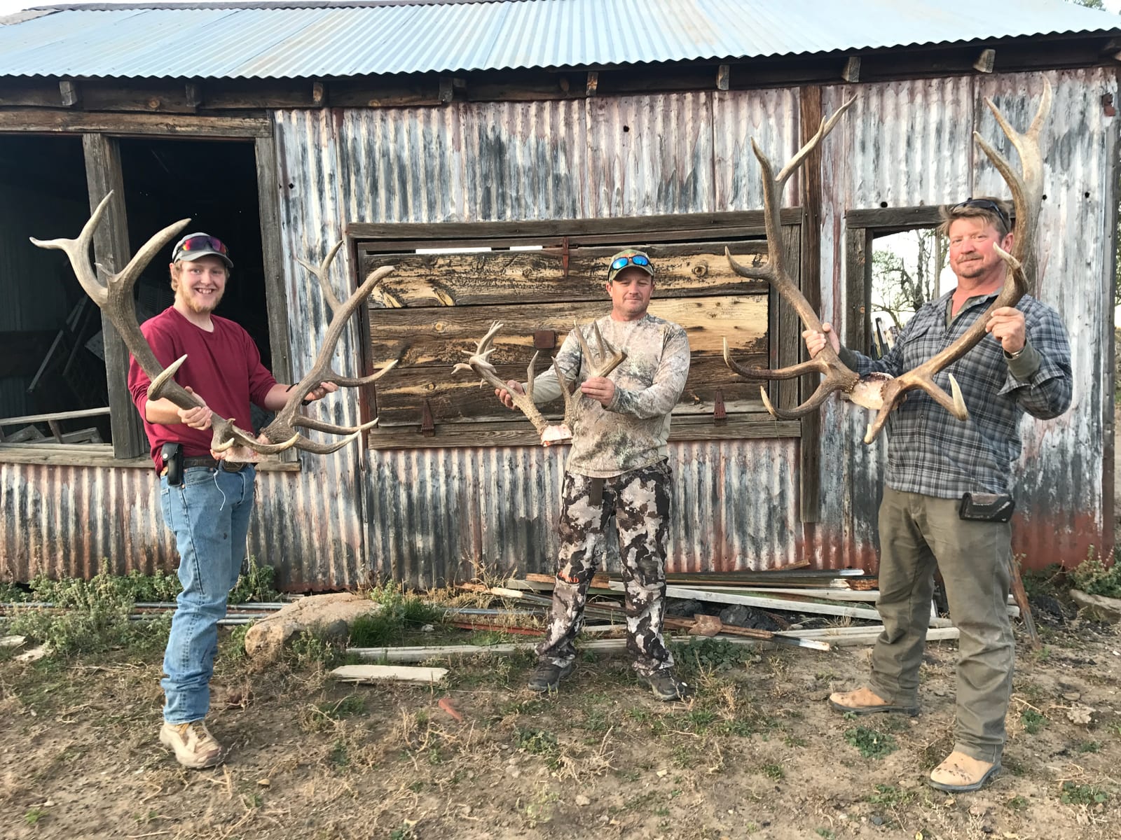 Archery elk hunting in Colorado