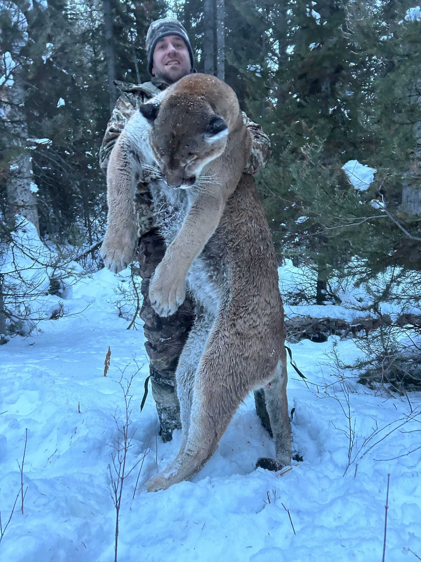 A hunter poses with a harvested mountain lion in a snowy forest.