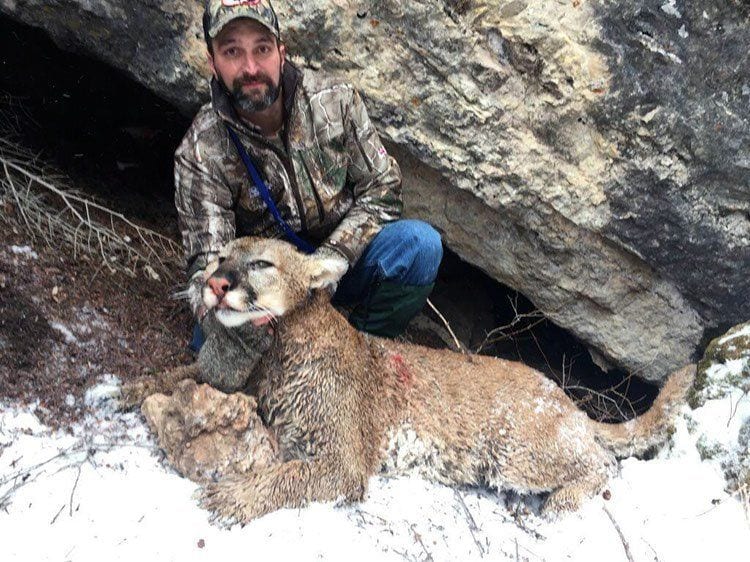 WYOMING MOUNTAIN LION HUNTING, WY MOUNTAIN LION HUNT