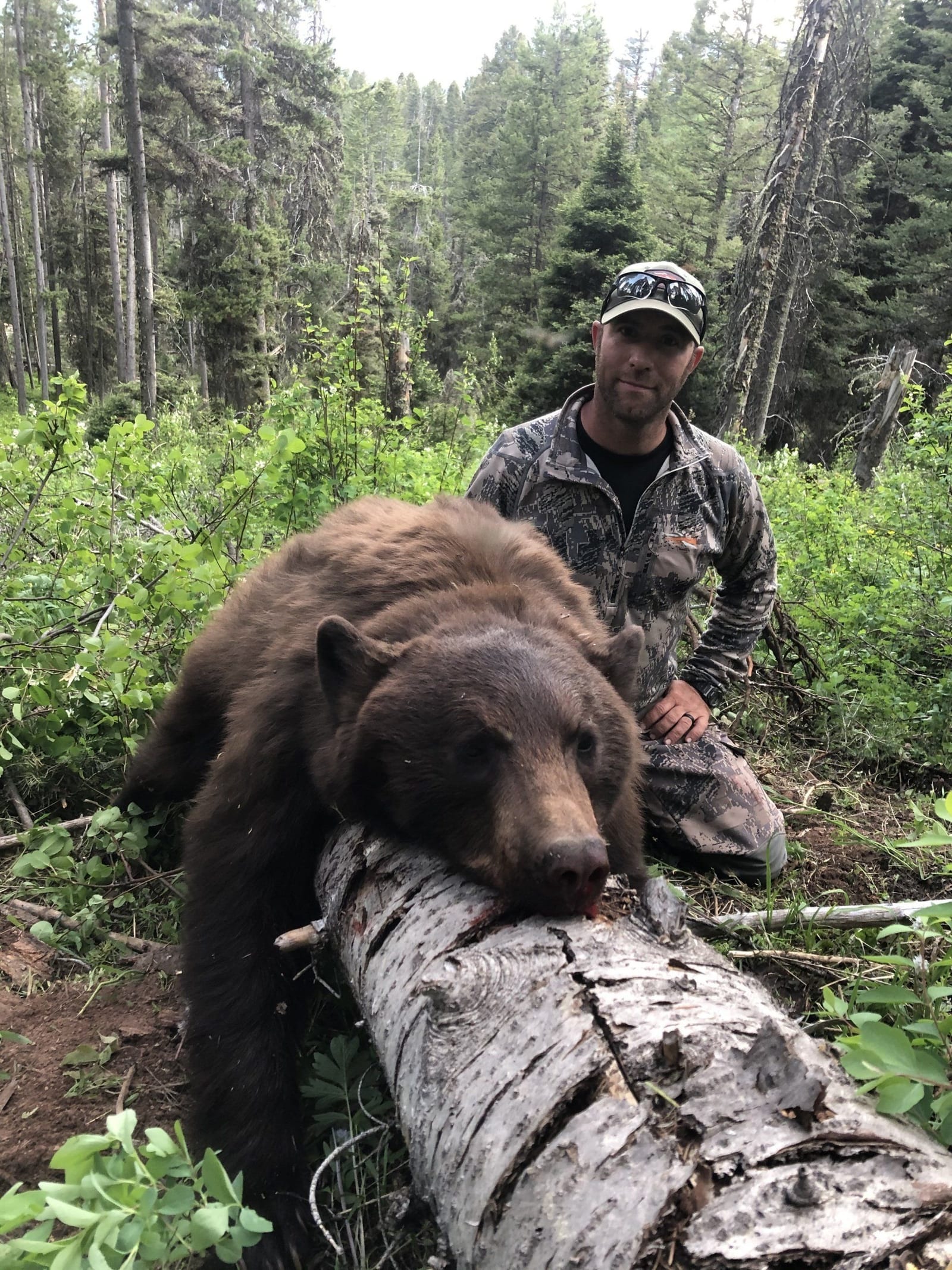 Wyoming spring black bear hunt