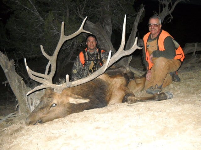 Two hunters wearing orange vests pose with a large elk they have hunted, lying on the ground, in a forested area at night.