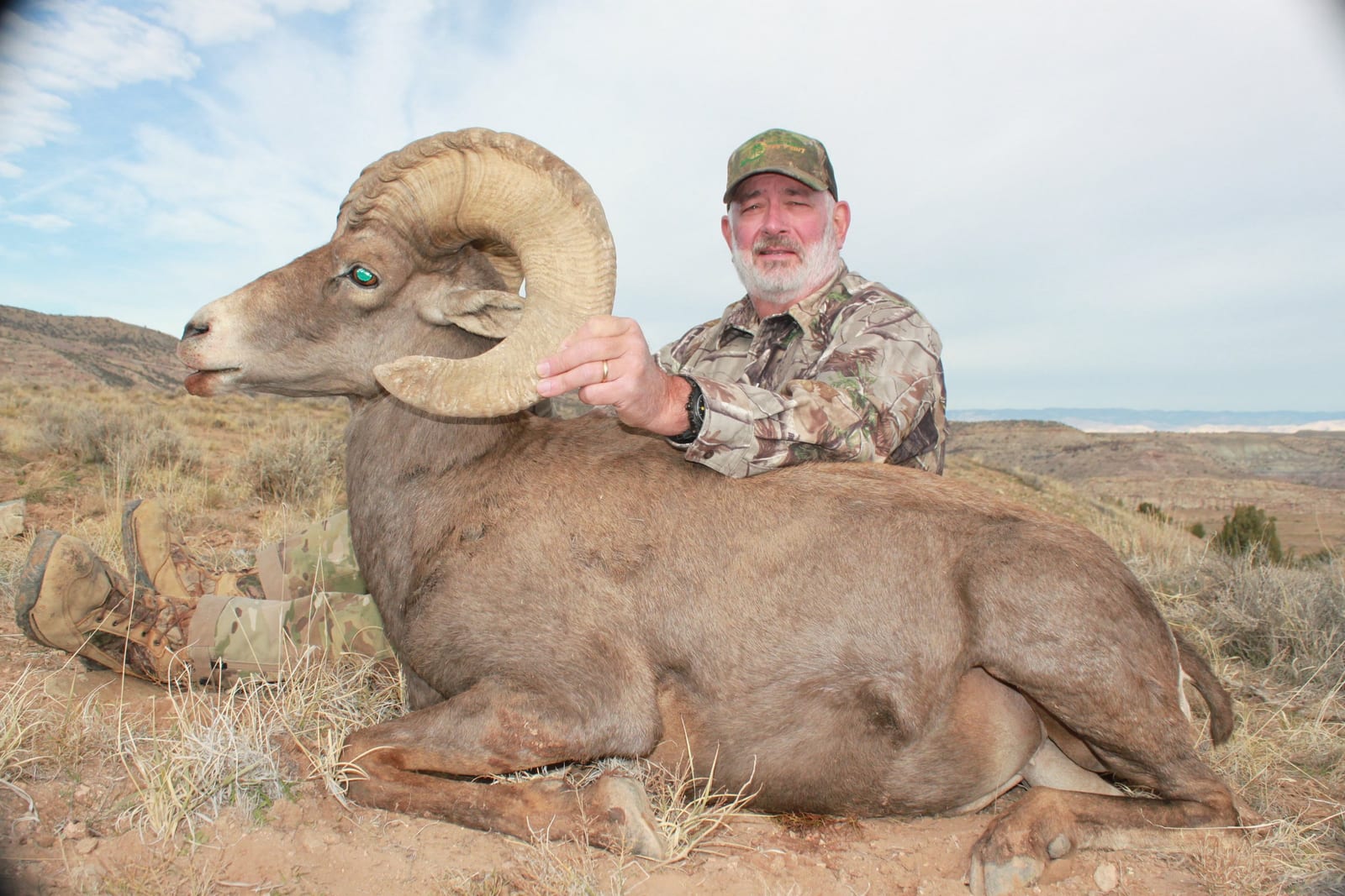 A man in camouflage clothing sitting beside a bighorn sheep in a grassy, mountainous area.
