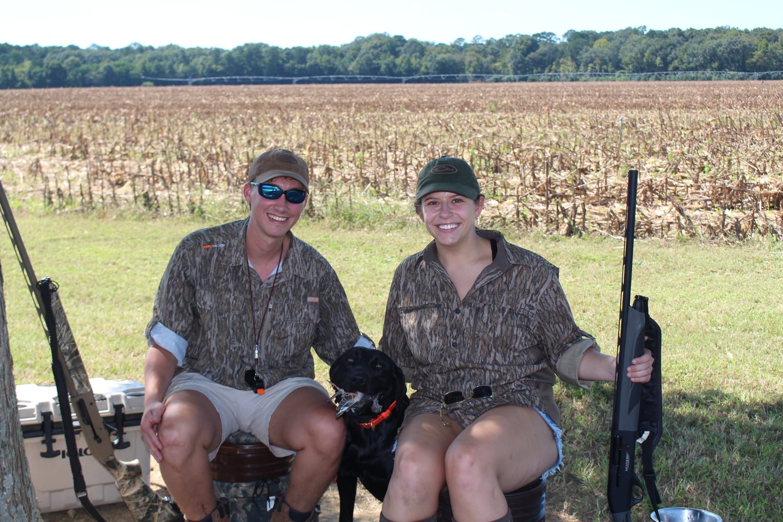 Dove Shoot -  FULL