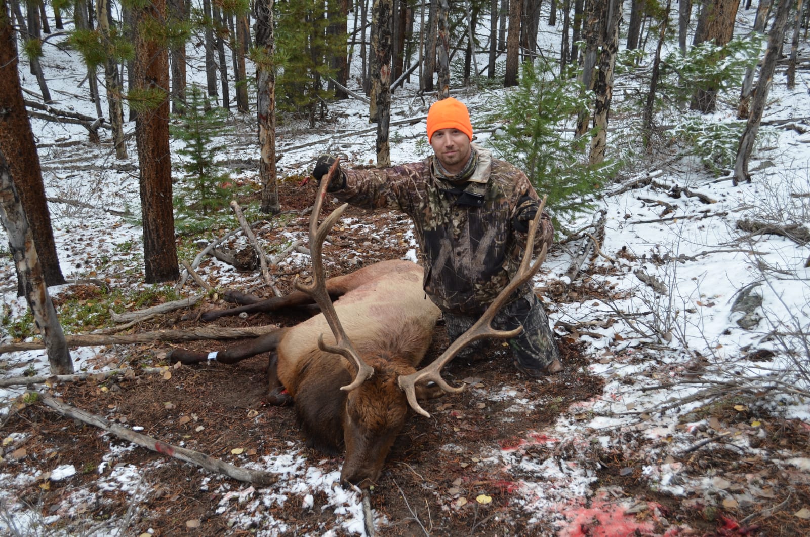 Unit 48 elk hunt