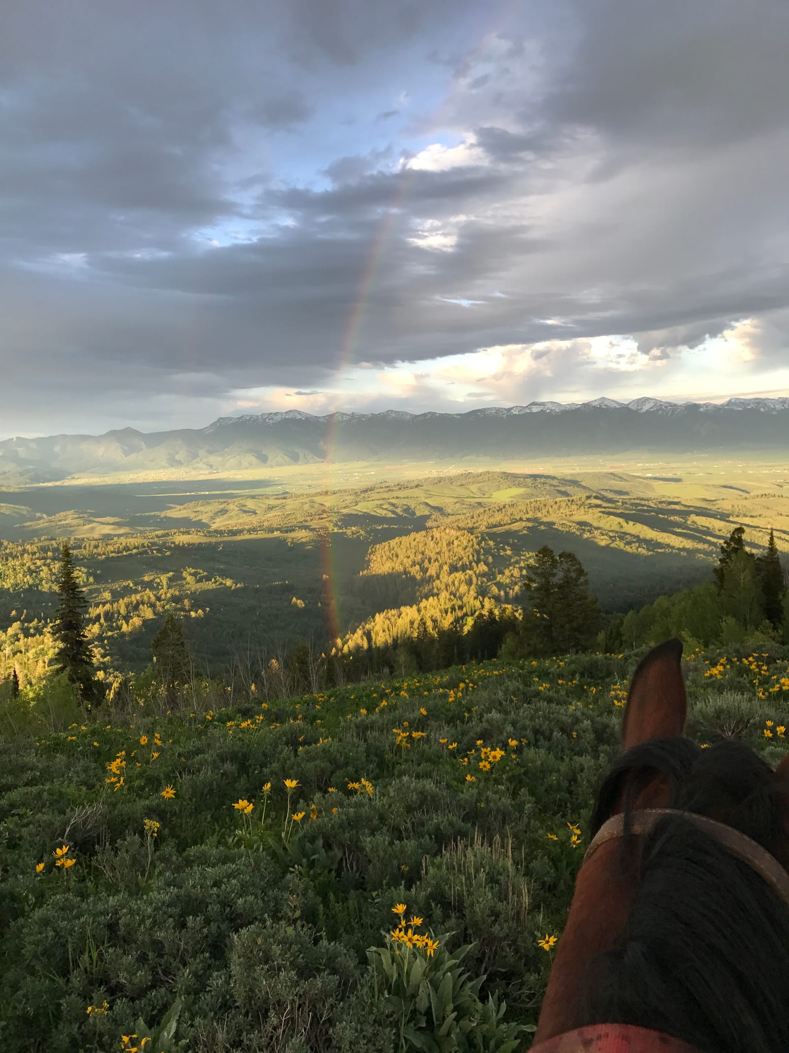 A scenic mountain landscape with a rainbow over a valley, viewed from horseback.