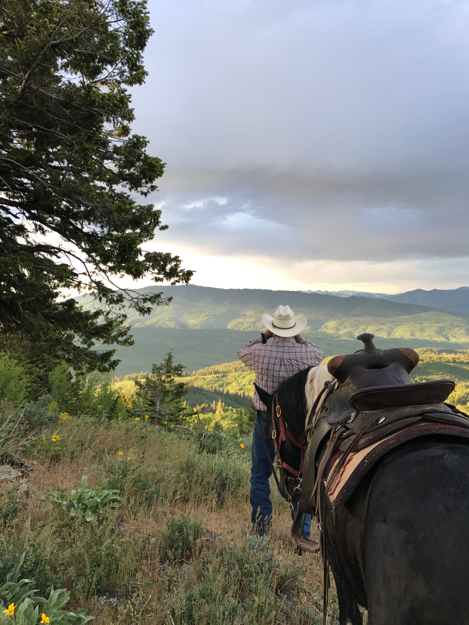 A person on horseback looks out over a vast mountainous landscape under a cloudy sky.