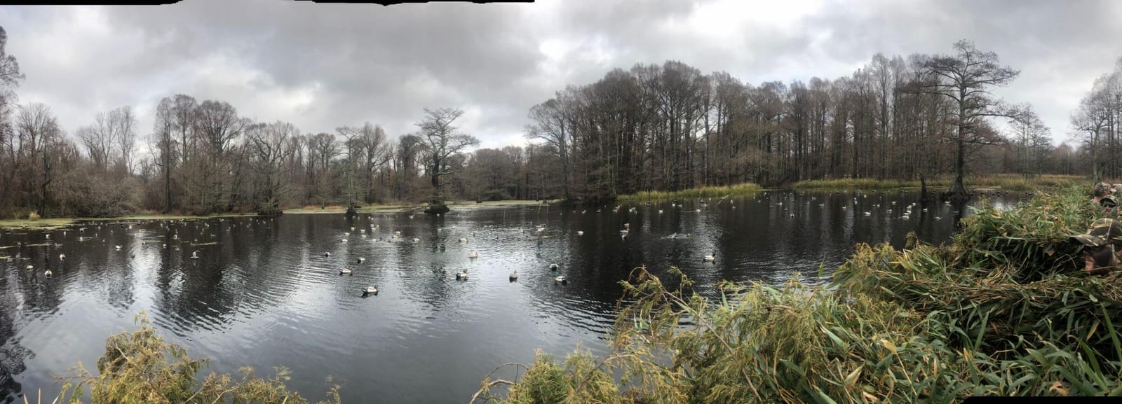 HD Guide Service Waterfowl On Lake