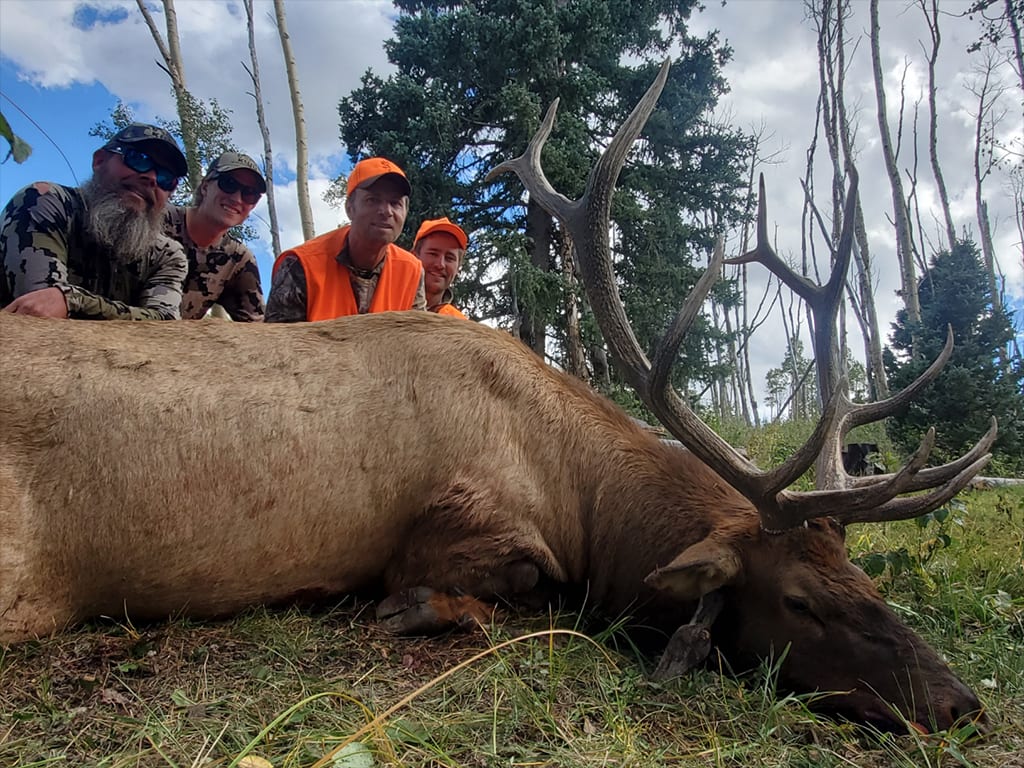 Hunters pose with a harvested elk in a wooded area.