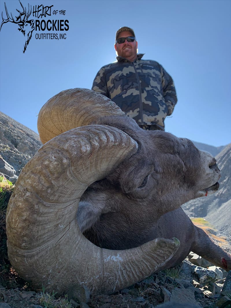 A hunter poses with a harvested bighorn sheep in a mountainous landscape.