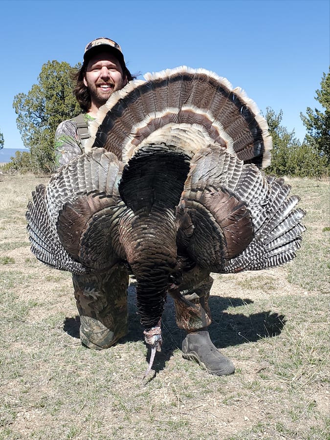 A man in camouflage kneels, holding a harvested wild turkey with its tail fanned out.