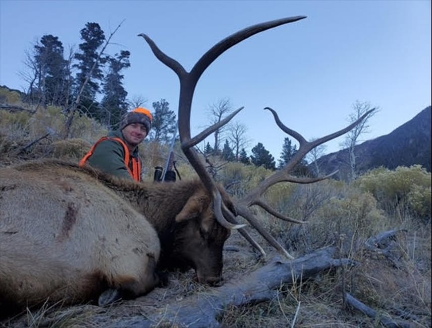 A hunter in an orange hat and vest poses with a harvested elk in a natural, outdoor setting.