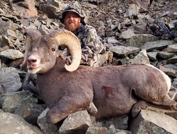 A hunter poses with a harvested bighorn sheep on a rocky terrain.