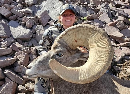 A hunter poses with a harvested bighorn sheep.