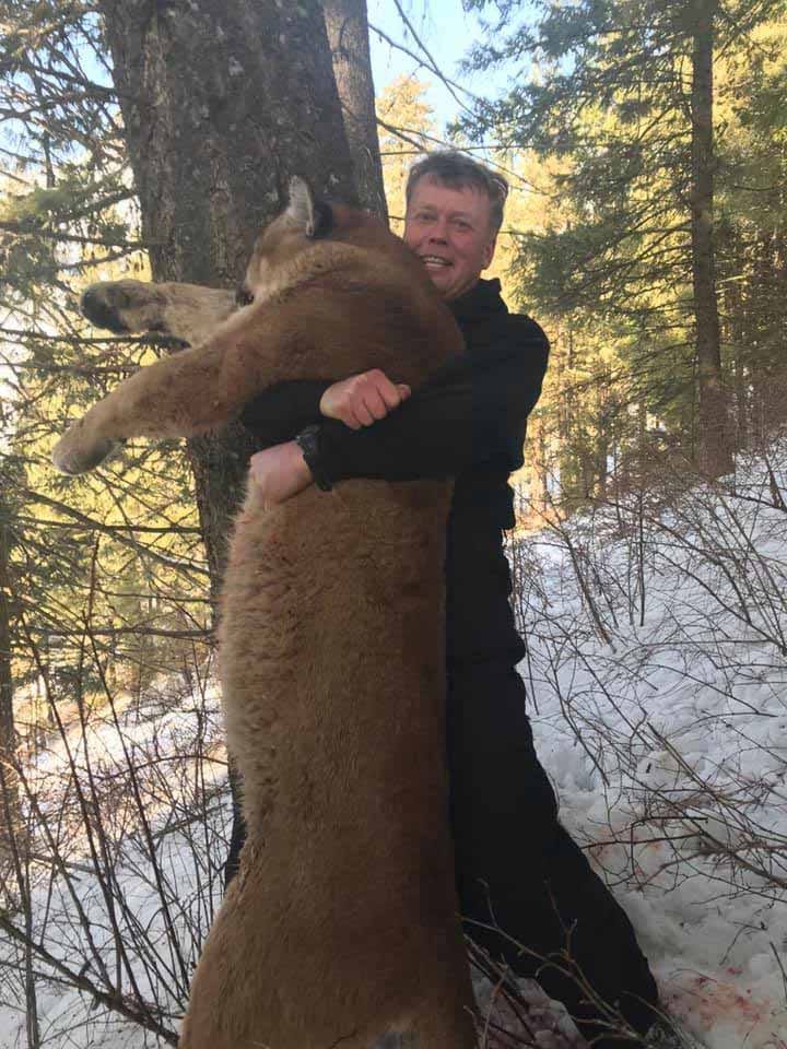 A hunter poses with a harvested mountain lion in a snowy, wooded area.