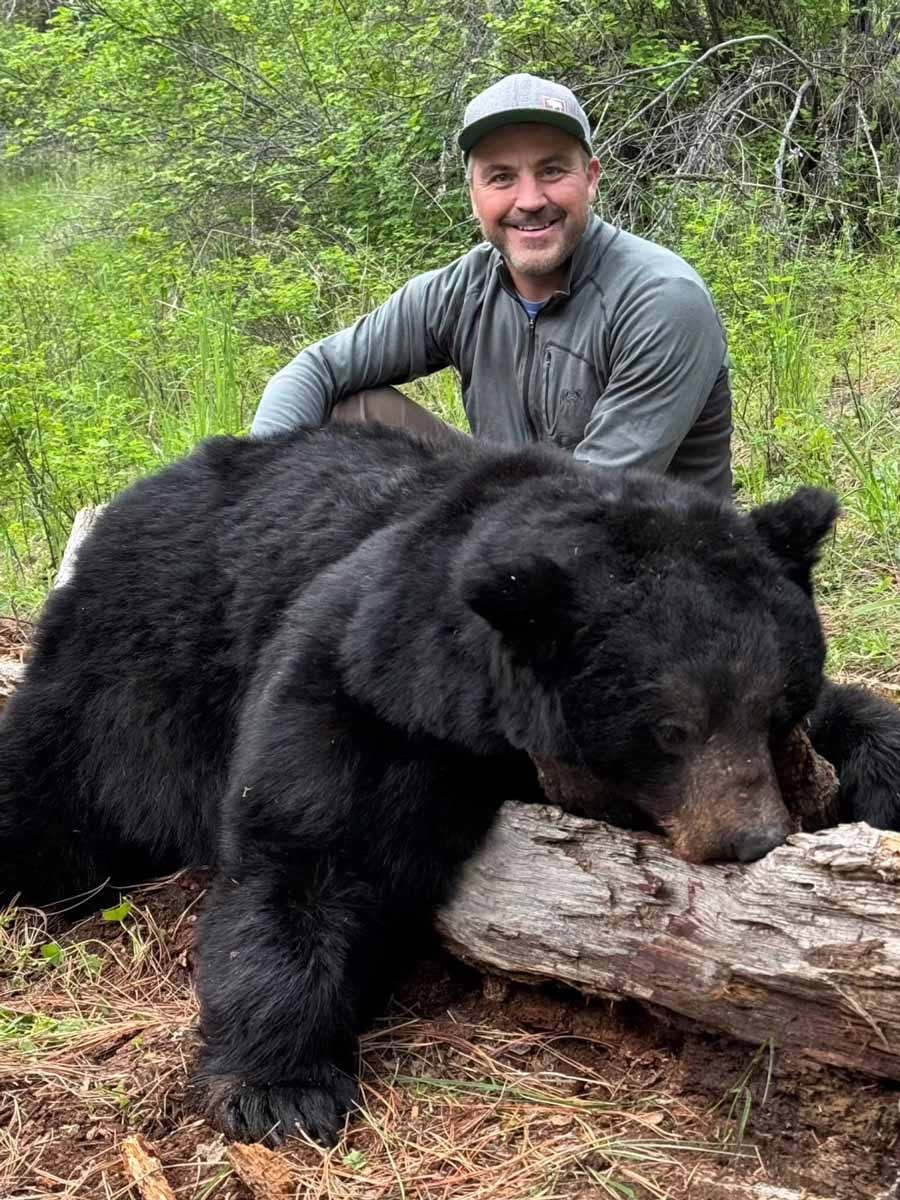A hunter poses with a harvested black bear in a wooded area.