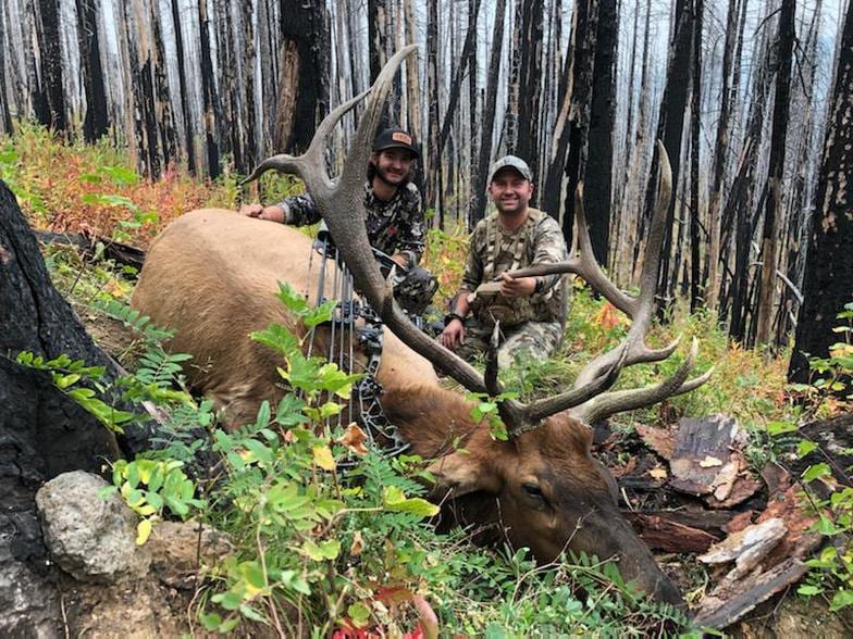 Two hunters pose with a harvested elk in a forest of burnt trees.