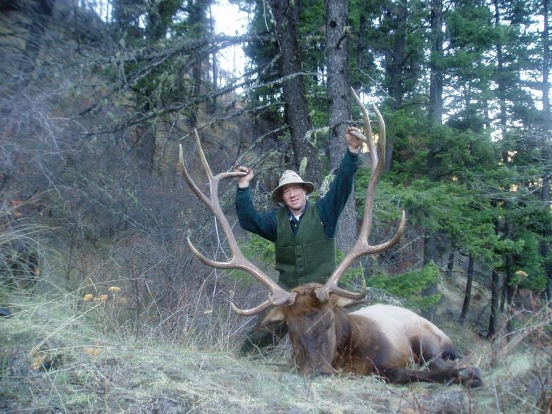 A hunter poses with a harvested elk in a wooded area.