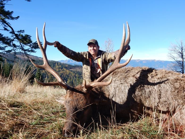 A hunter poses with a harvested elk in a grassy, mountainous landscape under a clear blue sky.