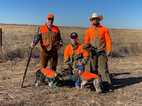 Pheasant Hunting