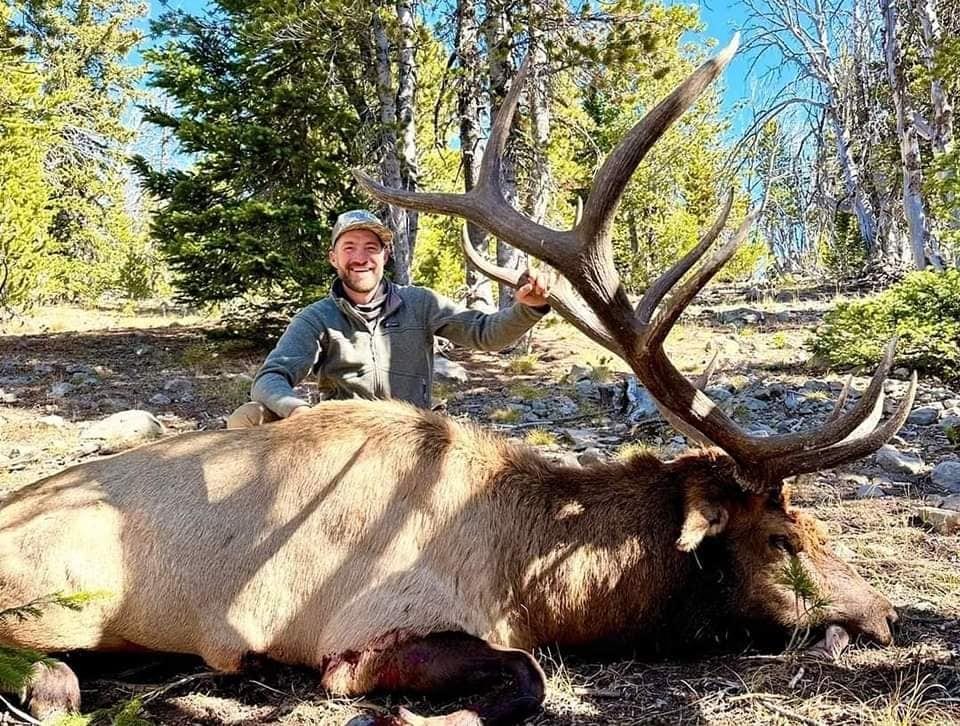 elk