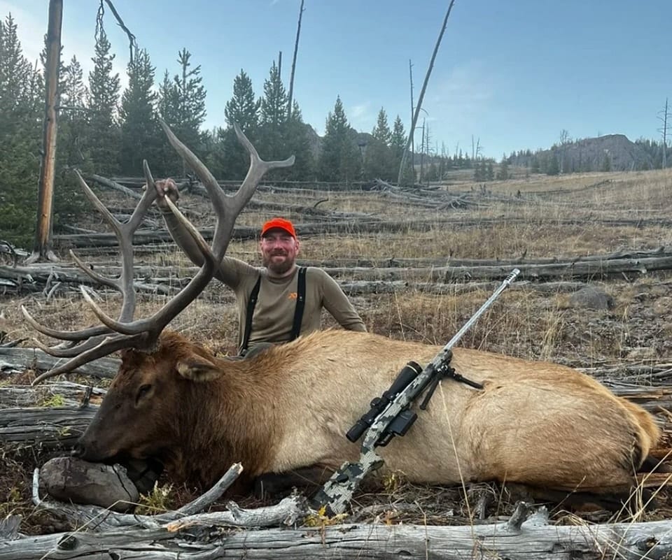 elk